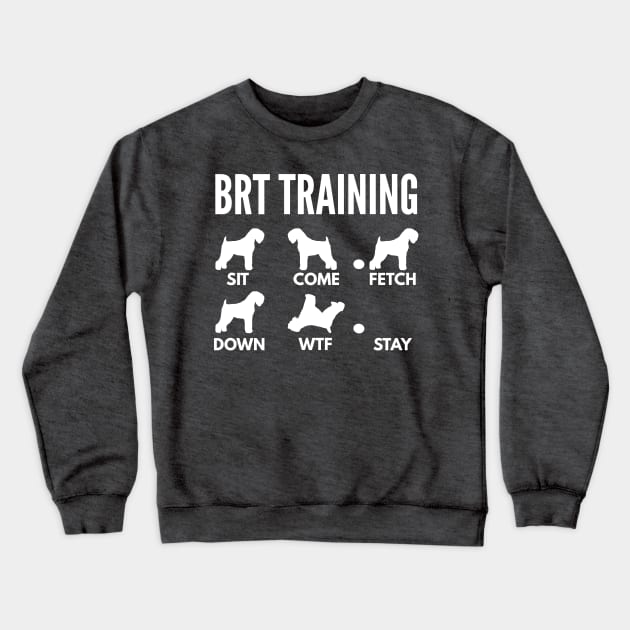 BRT Training Black Russian Terrier Dog Tricks Crewneck Sweatshirt by DoggyStyles